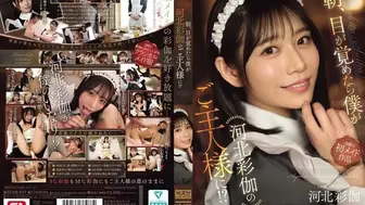 SONE-817 [中文字幕]一觉醒来 我竟成了河北彩伽的主人 河北彩伽